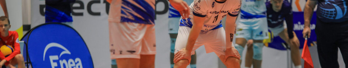 Koliber bezsilny w starcu z Aniołami