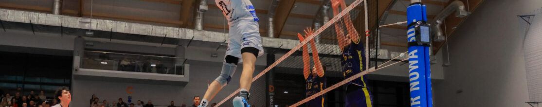 Faworyt z Nysy górą w Nowej Soli